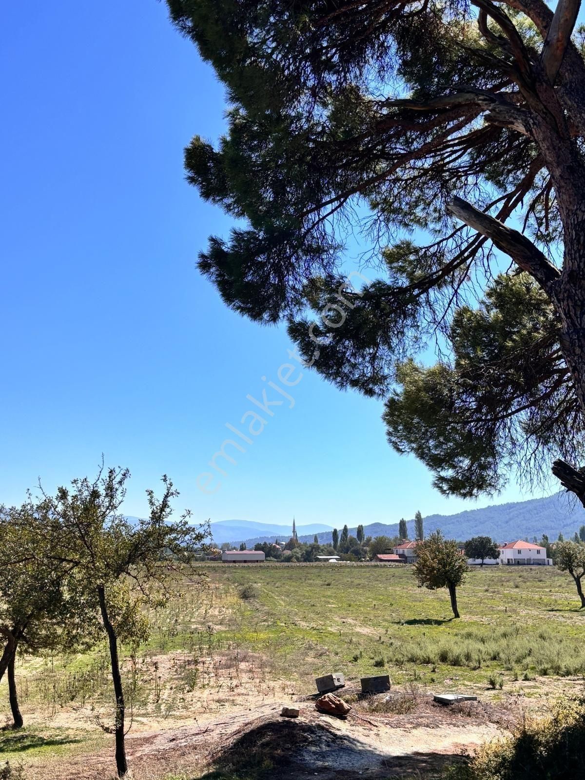 Milas Ortaköy'de 3500 M2 Tarla! - Görsel 5