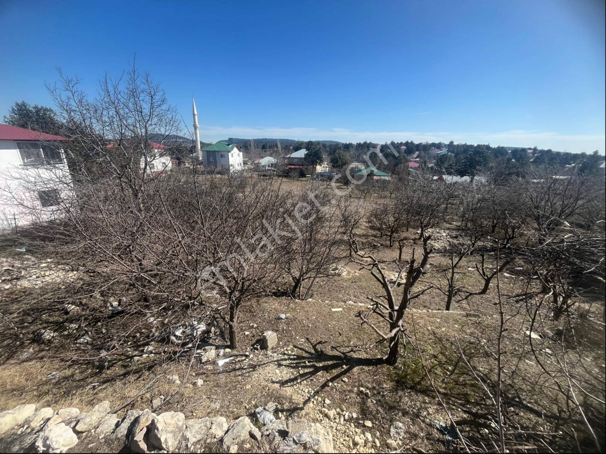 Avgadı Merkez’de 1.370 M2 Tek Tapu Satılık Arsa - Görsel 7