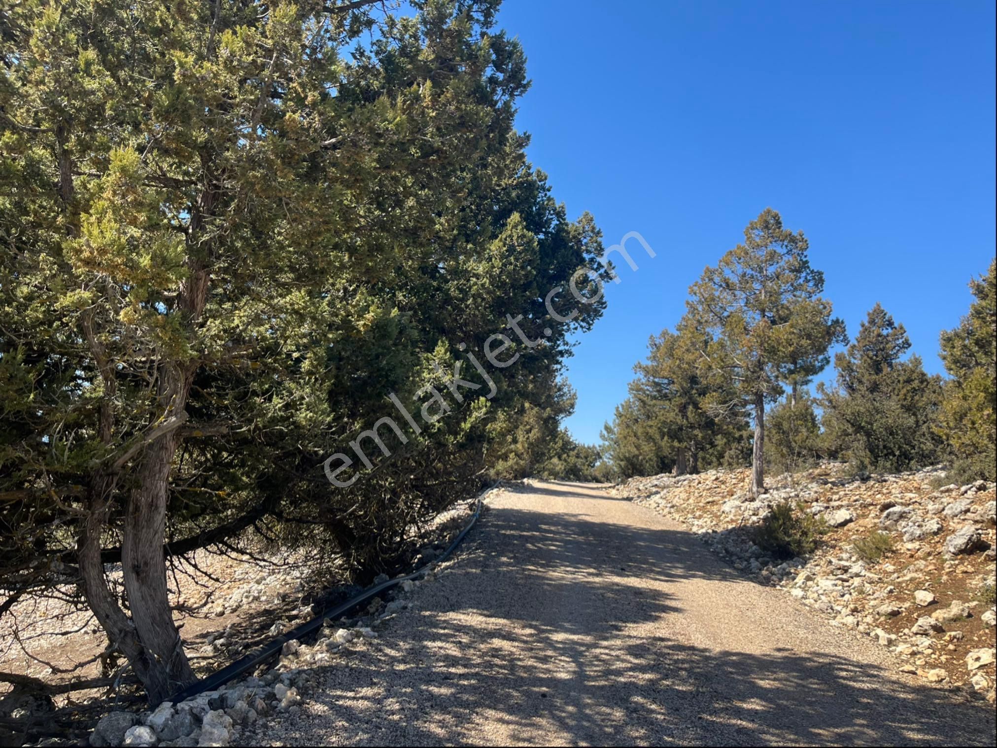 Çerçili Süpürgelik’te Dağ-vadi-doğa-deniz Manzaralı 5.600 M2 Satılık Tarla - Görsel 8