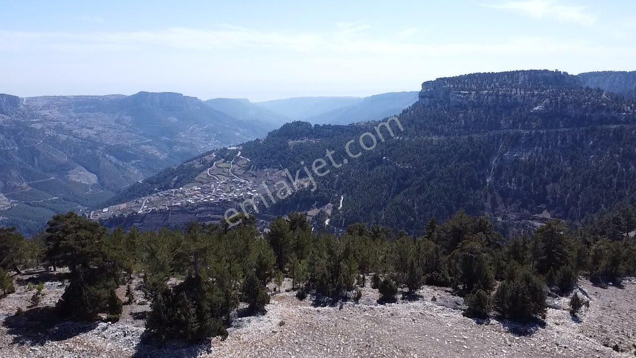 Çerçili Süpürgelik’te Dağ-vadi-doğa-deniz Manzaralı 5.600 M2 Satılık Tarla - Görsel 6