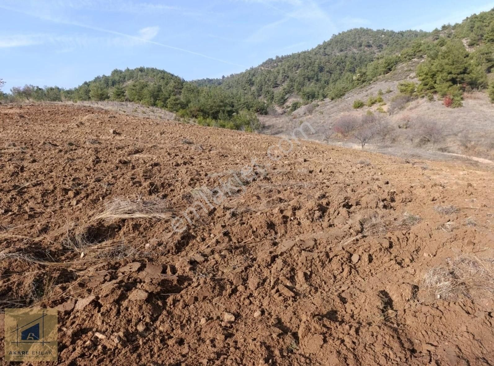 Söğüt Küre Köyü (Merkez) Satılık Tarla Kadastroyol Temizliği Sürümü Yapılmış Kolay Ulaşımlı Güzel Tarla