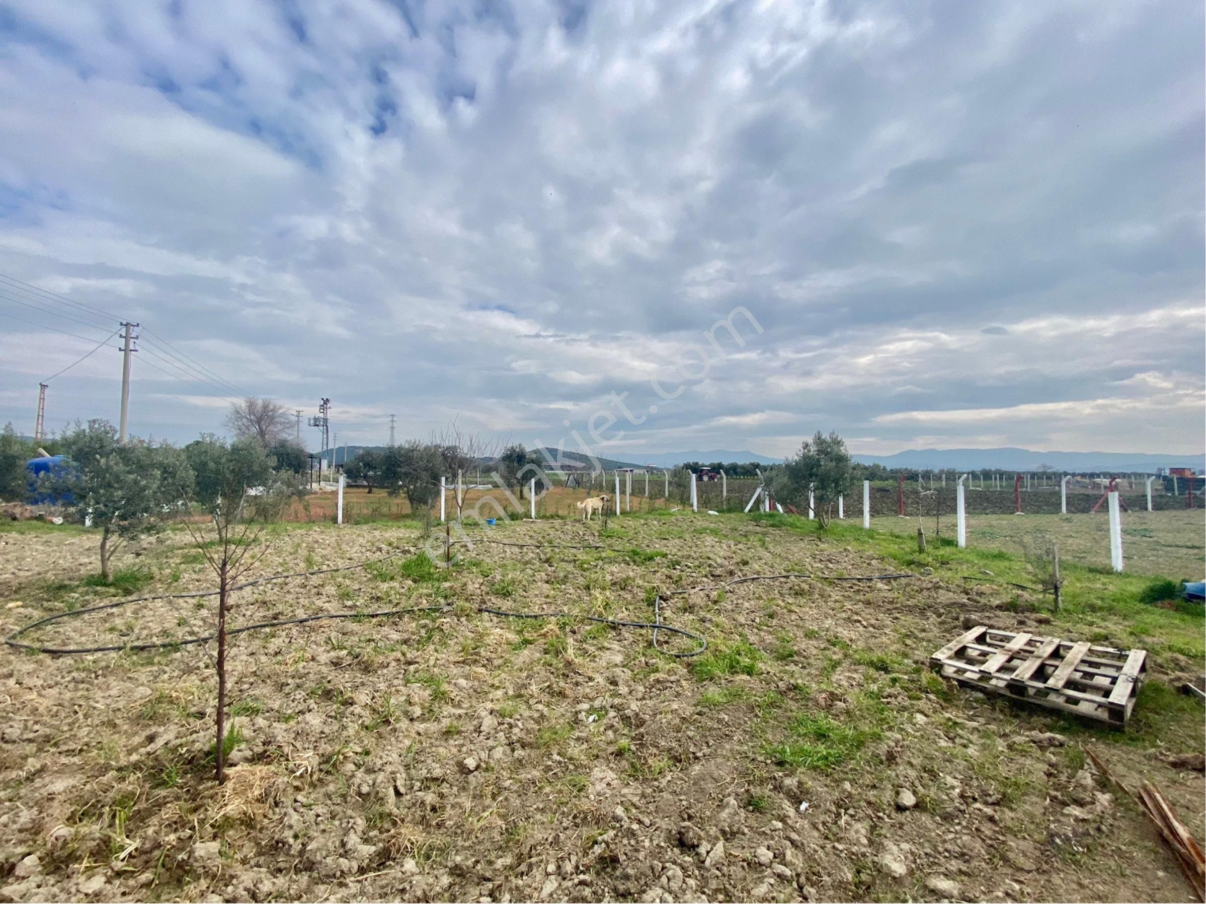 Günay Emlak'tan Torbalı Aslanlar Mah Tek Tapu 850 M2 Satılık Köşe Parsel - Görsel 27