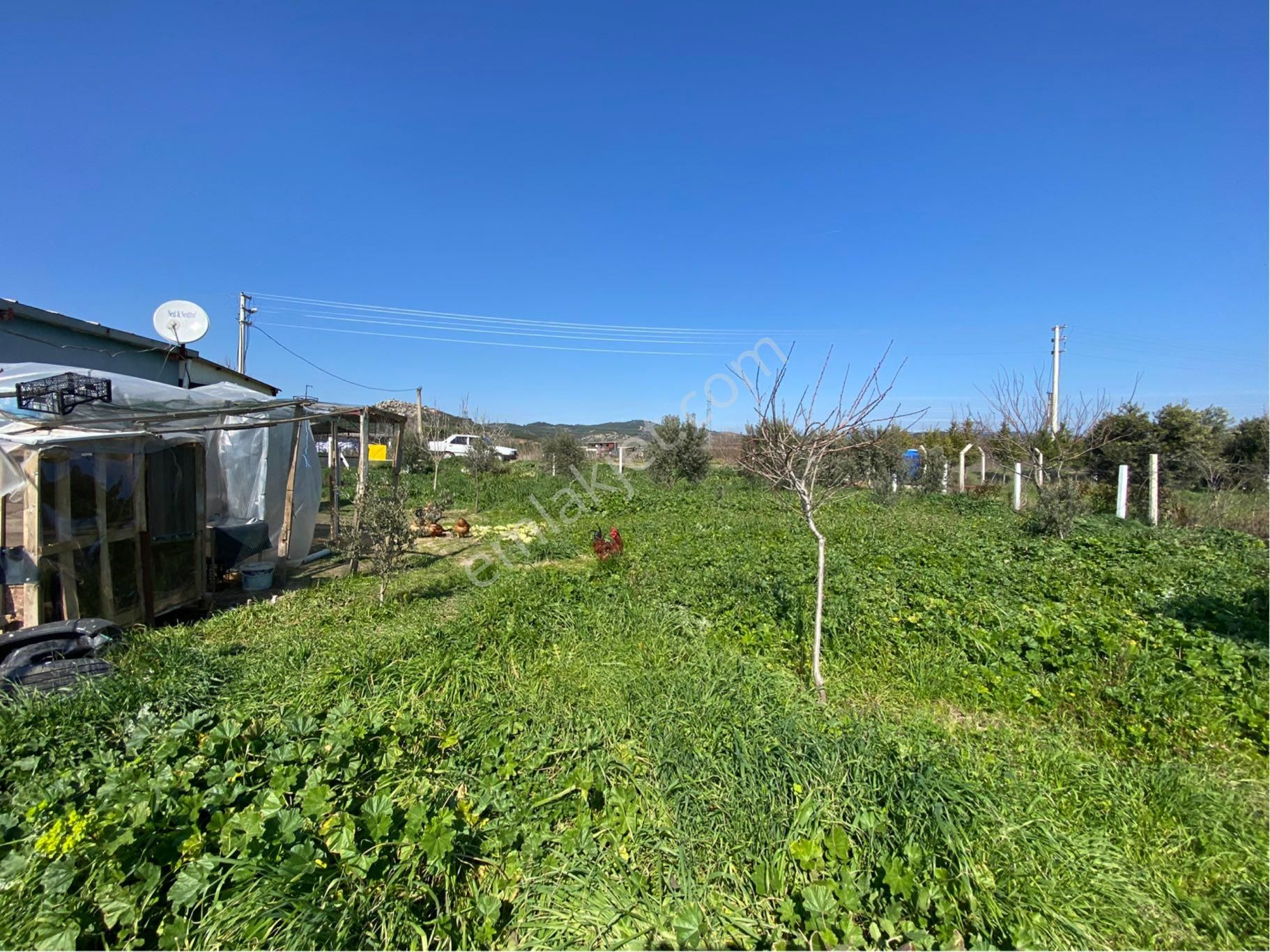 Günay Emlak'tan Torbalı Aslanlar Mah Tek Tapu 850 M2 Satılık Köşe Parsel - Görsel 18