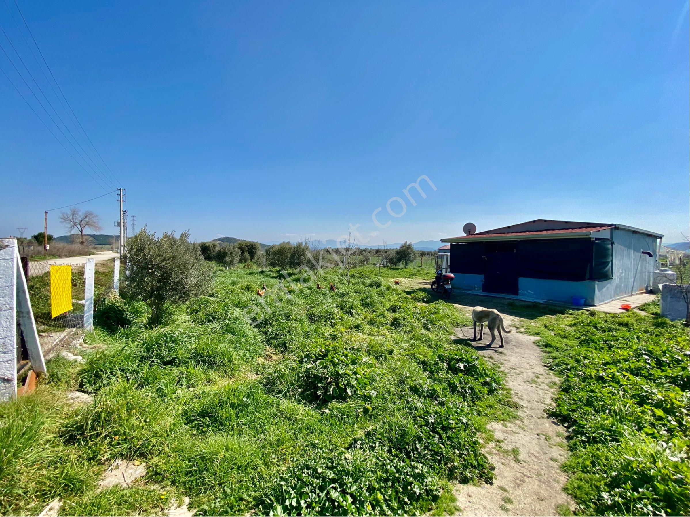 Günay Emlak'tan Torbalı Aslanlar Mah Tek Tapu 850 M2 Satılık Köşe Parsel - Görsel 12