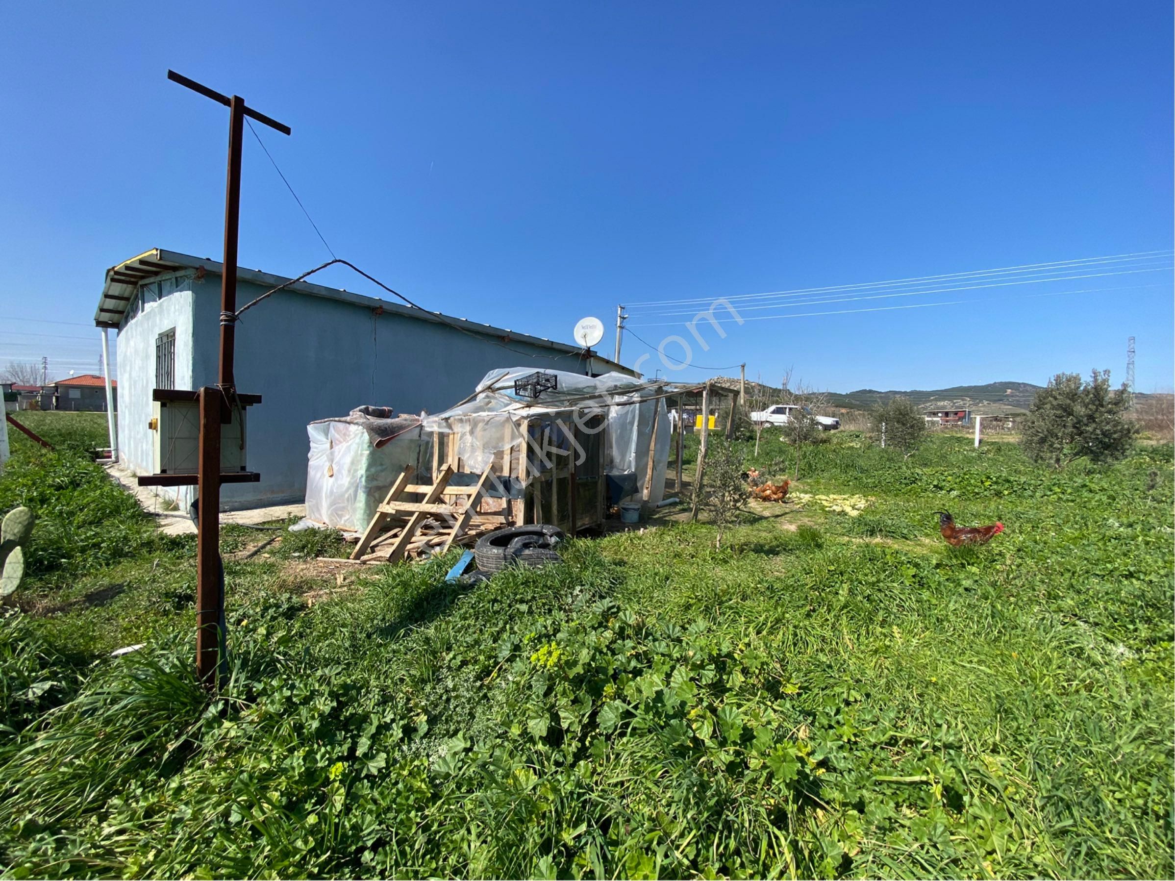 Günay Emlak'tan Torbalı Aslanlar Mah Tek Tapu 850 M2 Satılık Köşe Parsel - Görsel 19