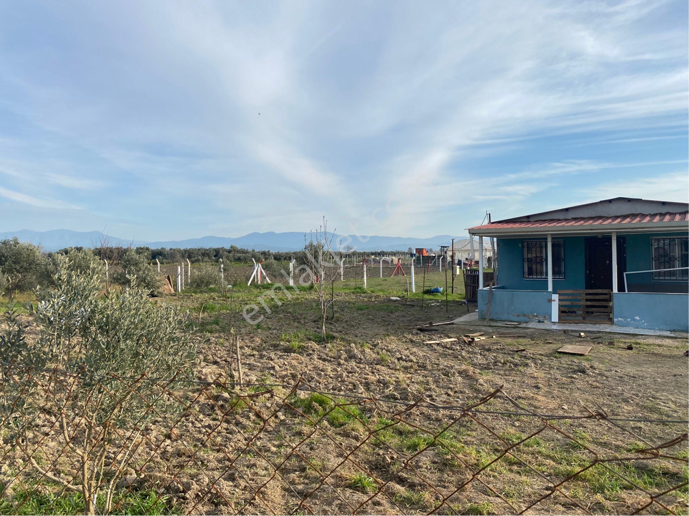 Günay Emlak'tan Torbalı Aslanlar Mah Tek Tapu 850 M2 Satılık Köşe Parsel - Görsel 22