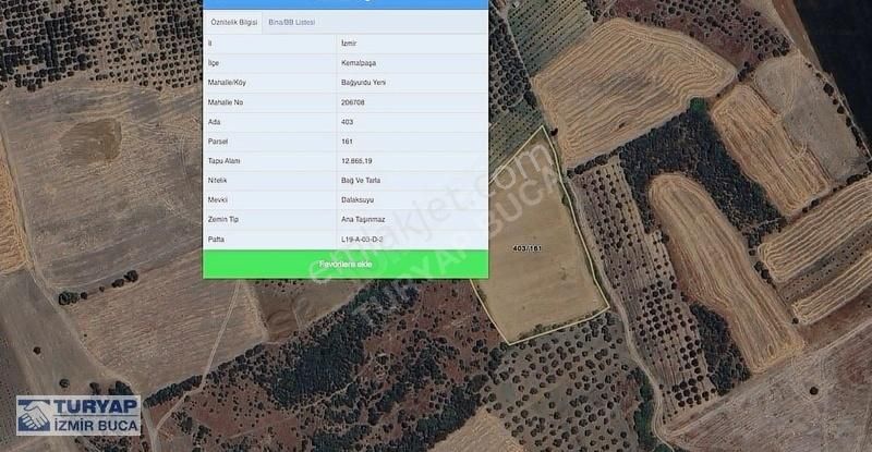 Turyap'tan Kemalpaşa Yeni Bağyurdu'nda Satılık Tek Tapu Tarla - Görsel 3