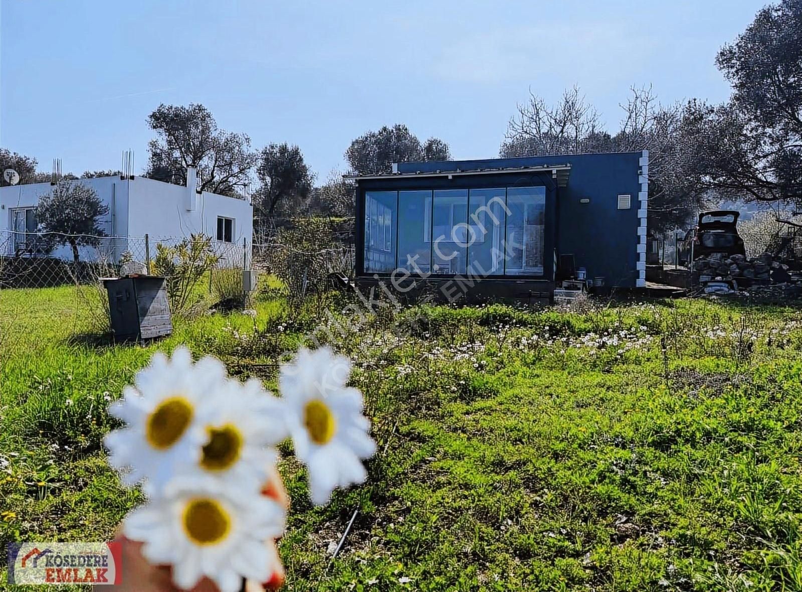 Karaburun Eğlenhoca Satılık Yazlık Kösedere Emlak'tan Eğlenhoca'da 488 M2 İçinde Müstakil Ev