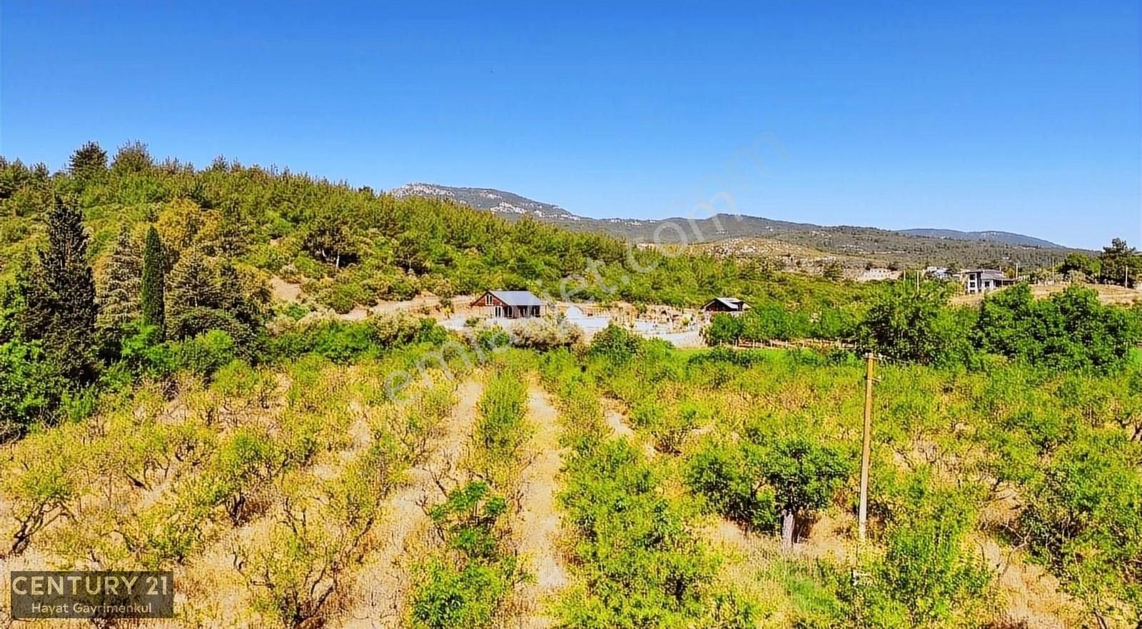 Menderes Çile Mahallesinde 11.933 M2 Satılık Bahçe - Görsel 6