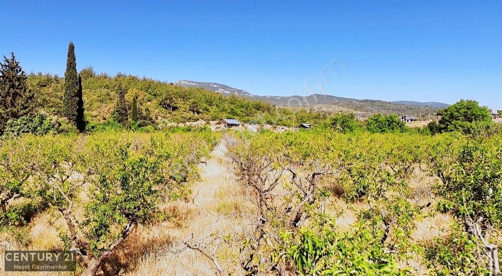 Menderes Çile Mahallesinde 11.933 M2 Satılık Bahçe - Görsel 7