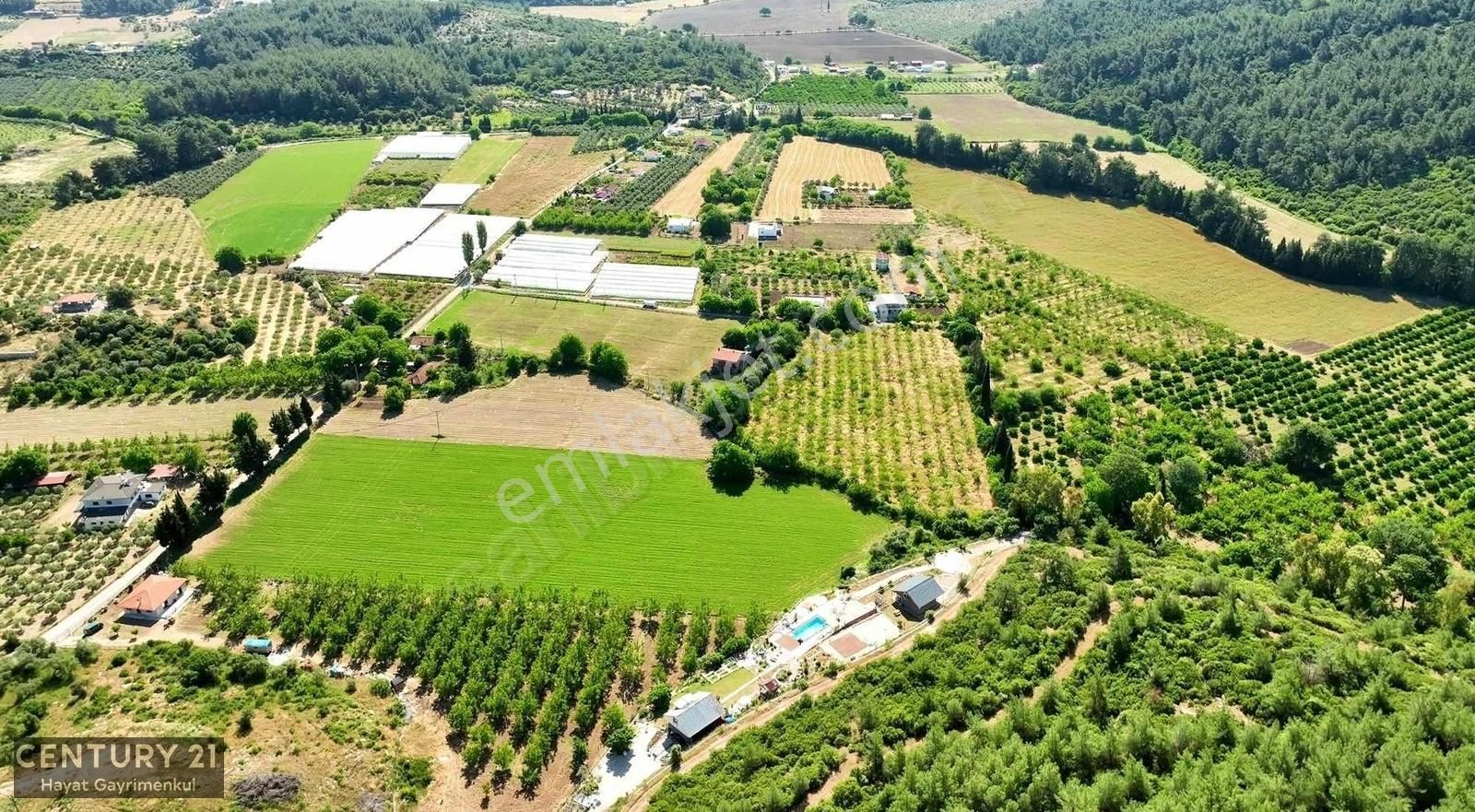 Menderes Çile Mahallesinde 11.933 M2 Satılık Bahçe - Görsel 10