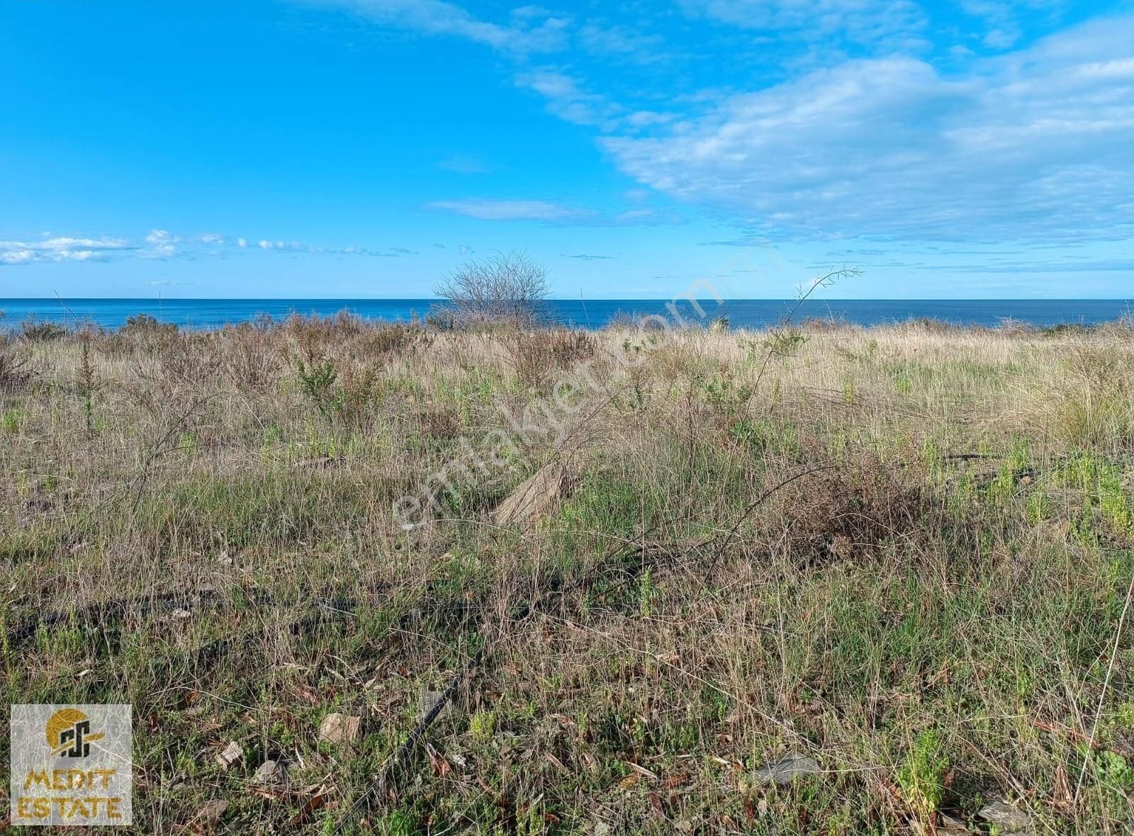 Demirtaş Keşefli Mah. Satılık 9 Dönüm Muz Ekili Tarla - Görsel 2