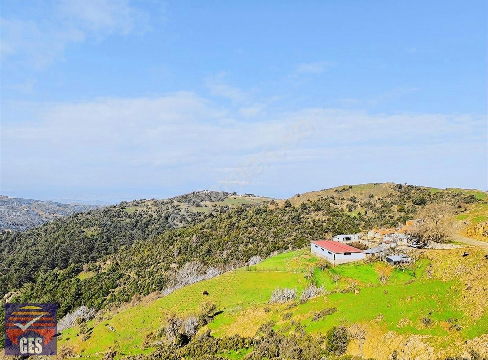 Güzelbahçe Yaka Satılık Bağ & Bahçe Ges Gayrimenkulden Yatırımlik Tarla