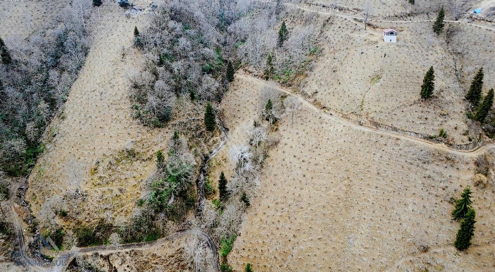 Arsin Işıklı Satılık Tarla Trabzon Arsin Işıklı'da Satılık 4325 Metre Kare Arazi