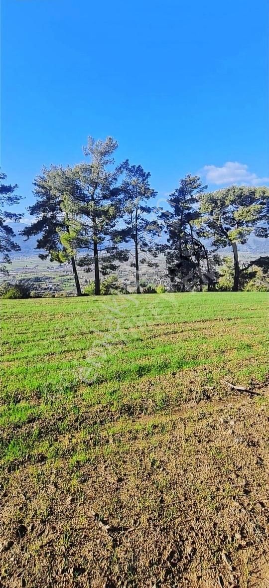 Seydikemer Sahilceylan Satılık Tarla Muğla Seydikemer Ceylan Mahallesinde Yatırımlık Tarla