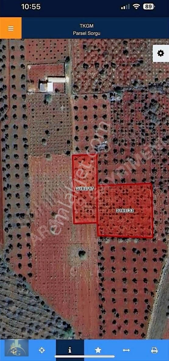 Uyaran79 Gayrimenkulden 2 Parça Zeytinlik - Görsel 19