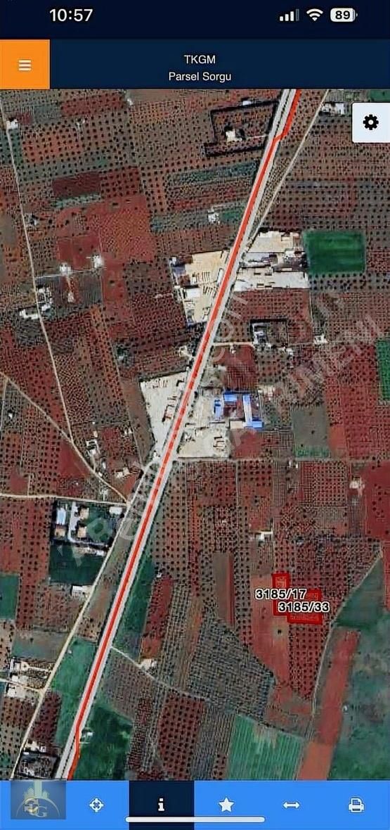 Uyaran79 Gayrimenkulden 2 Parça Zeytinlik - Görsel 11