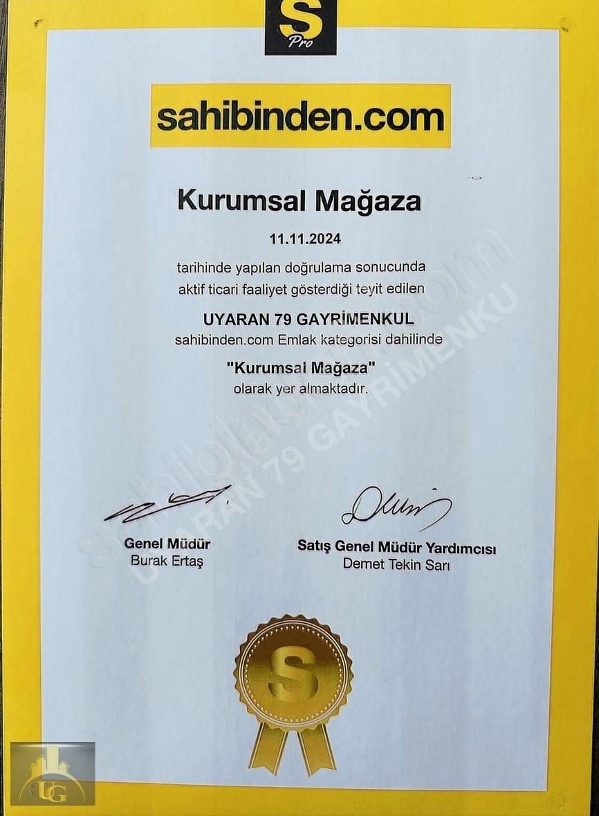 Uyaran79 Gayrimenkulden 2 Parça Zeytinlik - Görsel 4