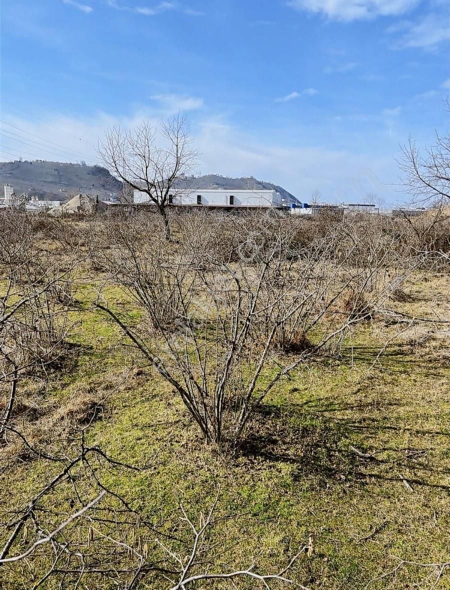 Gökdemir Gayrimenkulden Satılık Arsa - Görsel 2