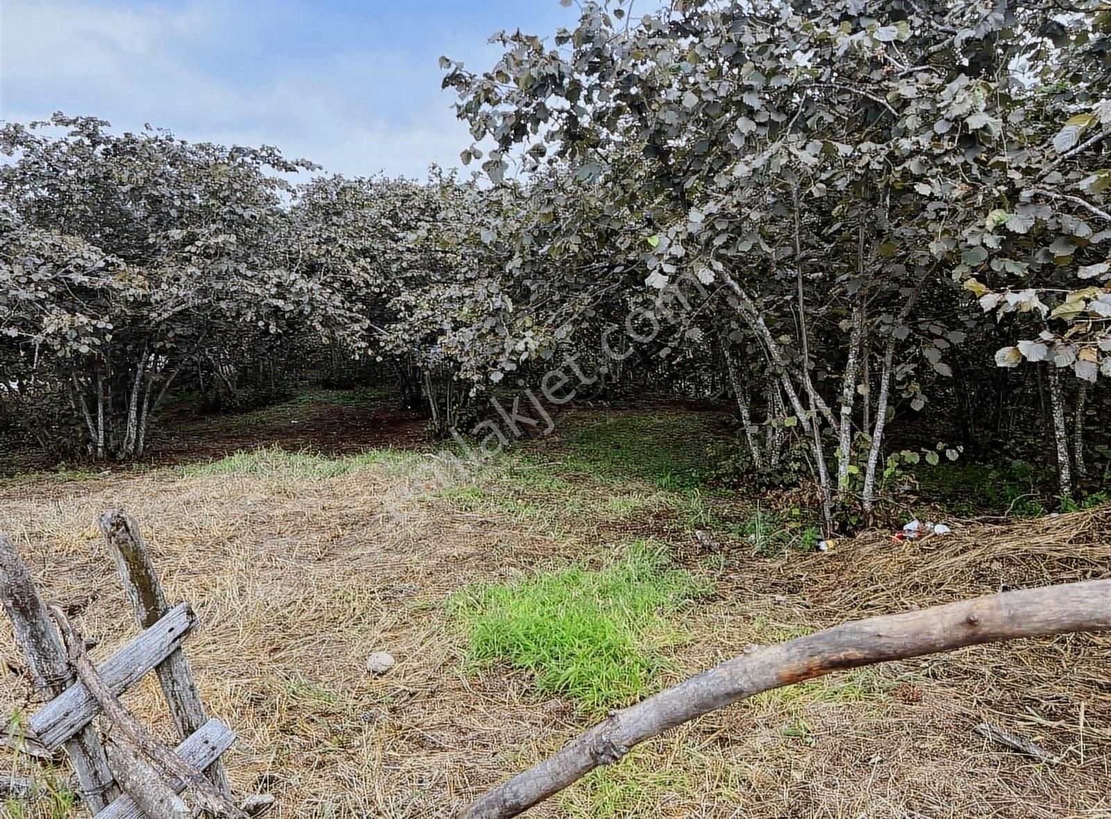 Gökdemir Gayrimenkulden Satılık Arsa - Görsel 5