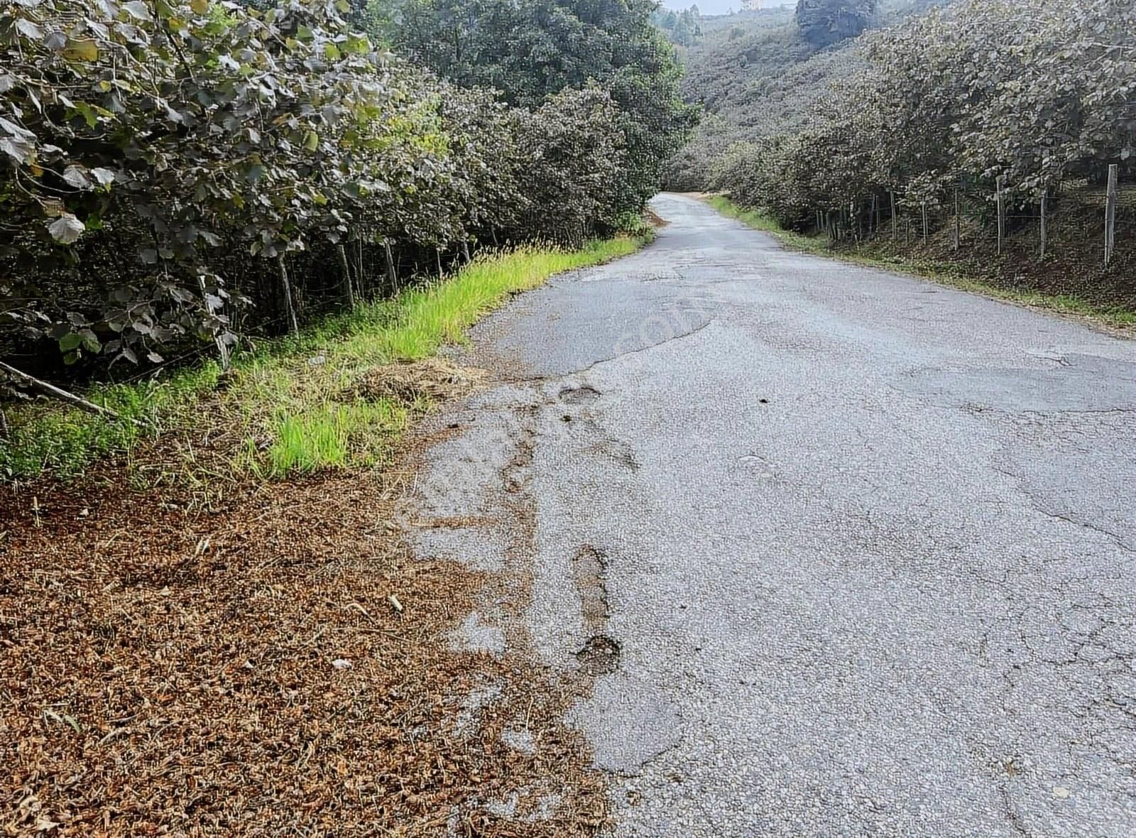 Gökdemir Gayrimenkulden Satılık Arsa - Görsel 13