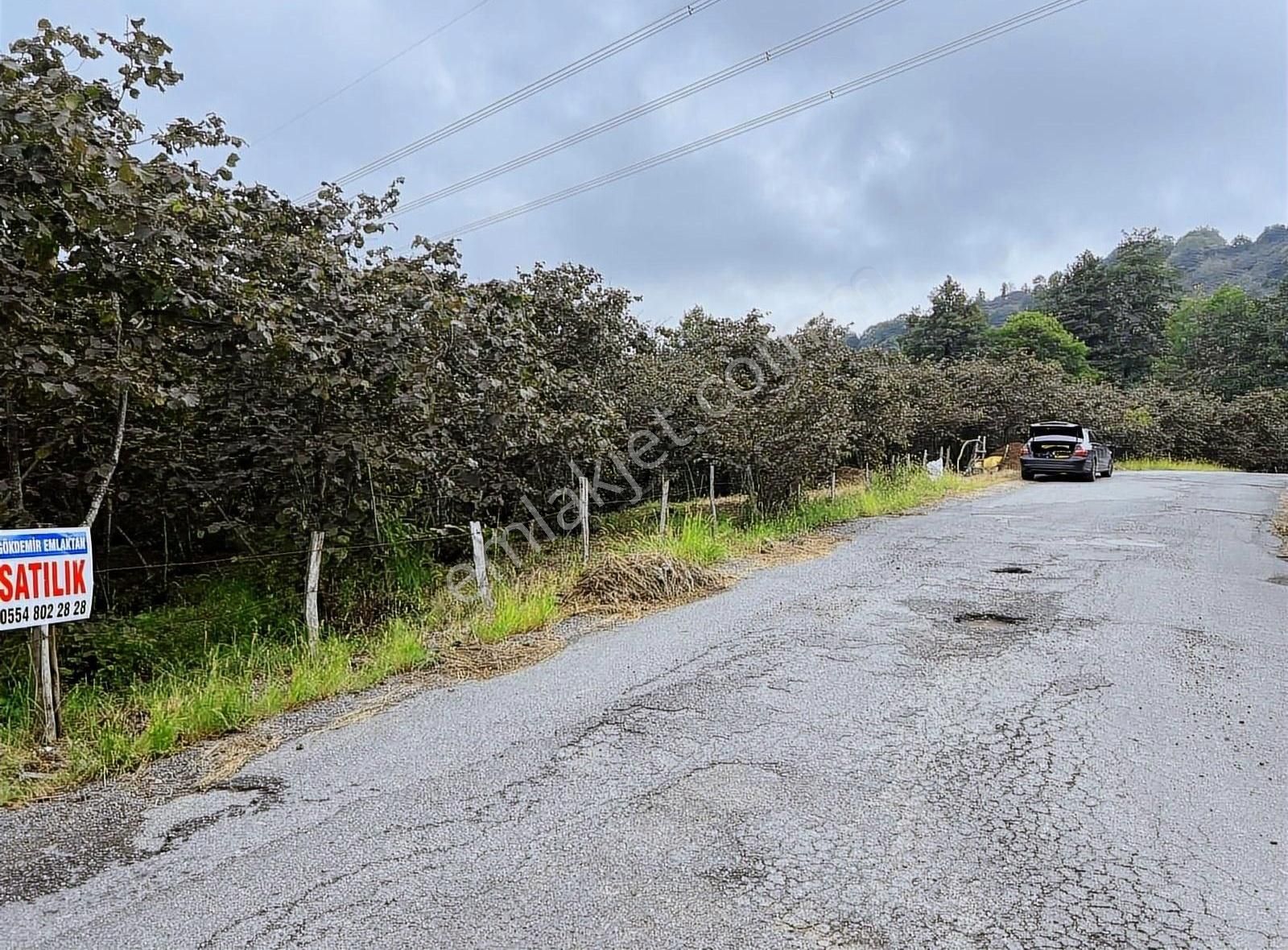Gökdemir Gayrimenkulden Satılık Arsa - Görsel 12