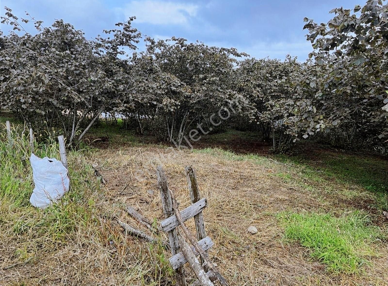 Gökdemir Gayrimenkulden Satılık Arsa - Görsel 9