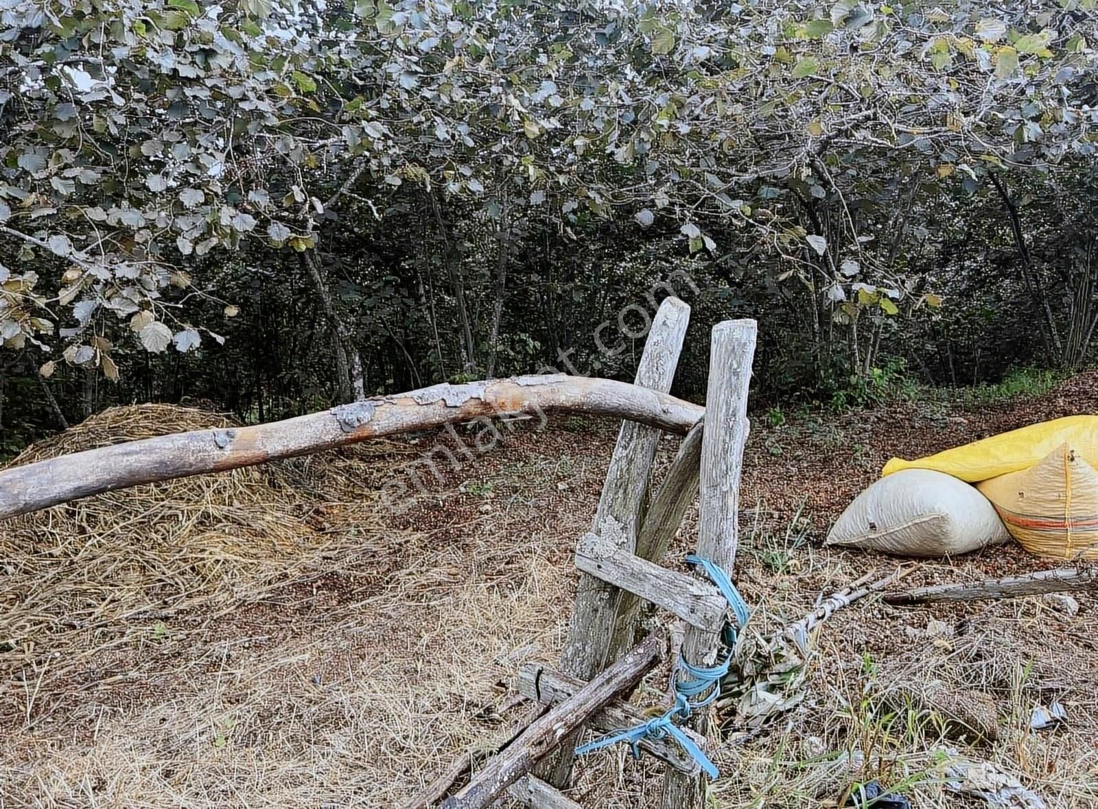 Gökdemir Gayrimenkulden Satılık Arsa - Görsel 10