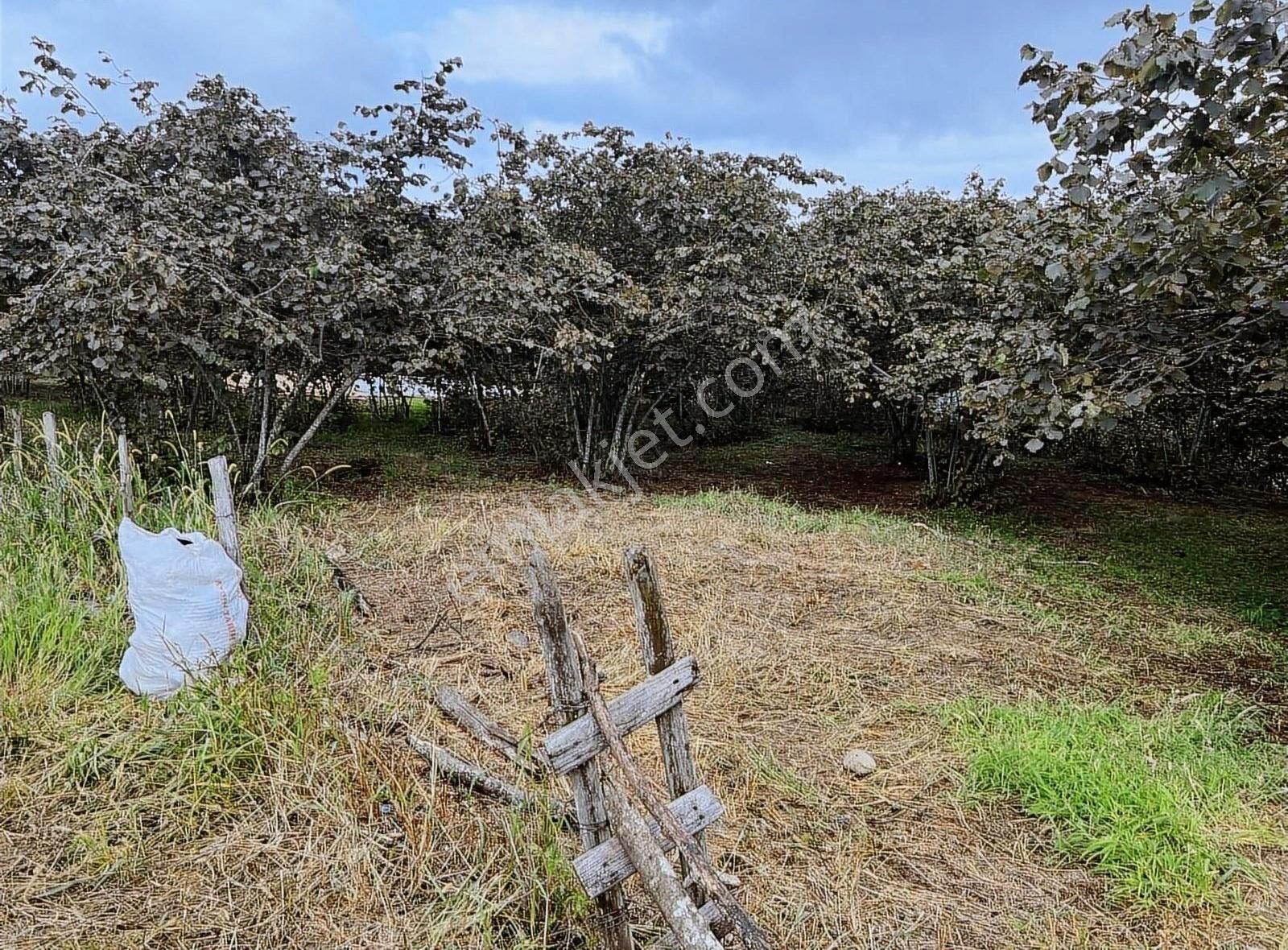 Gökdemir Gayrimenkulden Satılık Arsa - Görsel 4