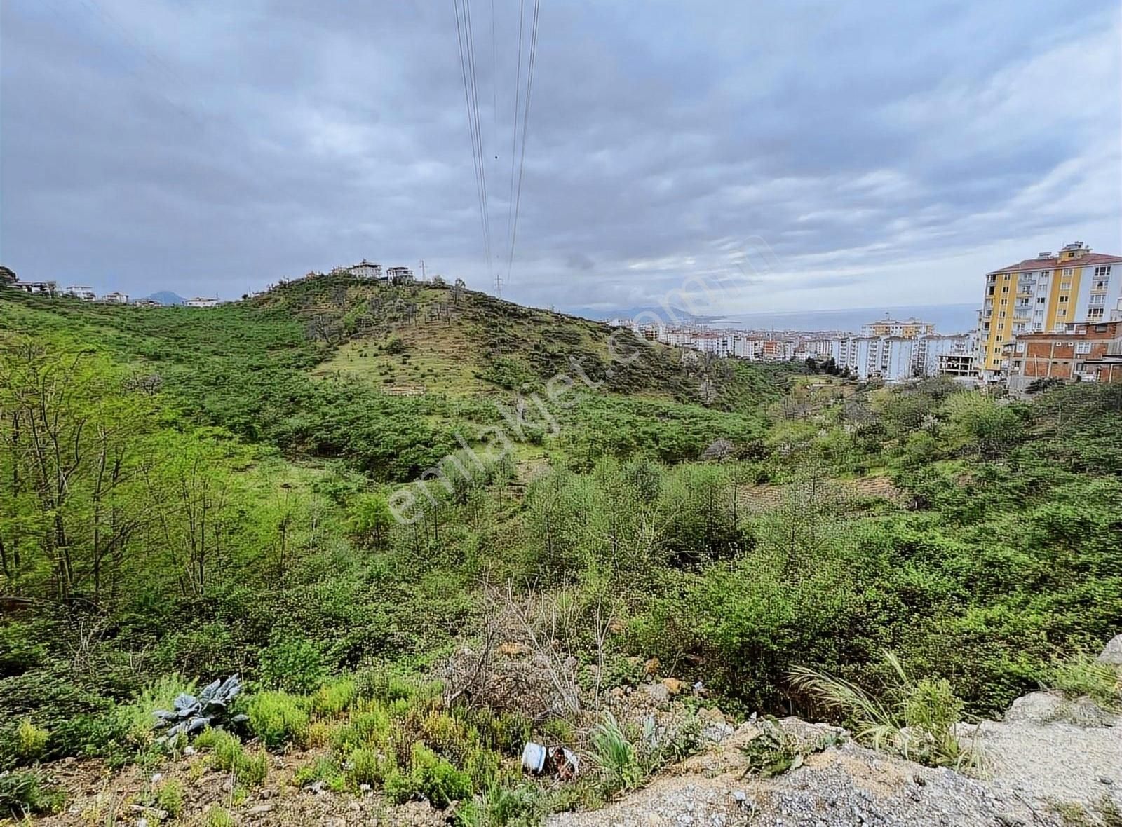 Gökdemir Gayrimenkulden Satılık Arsa Veya Fındık Bahcesi - Görsel 20