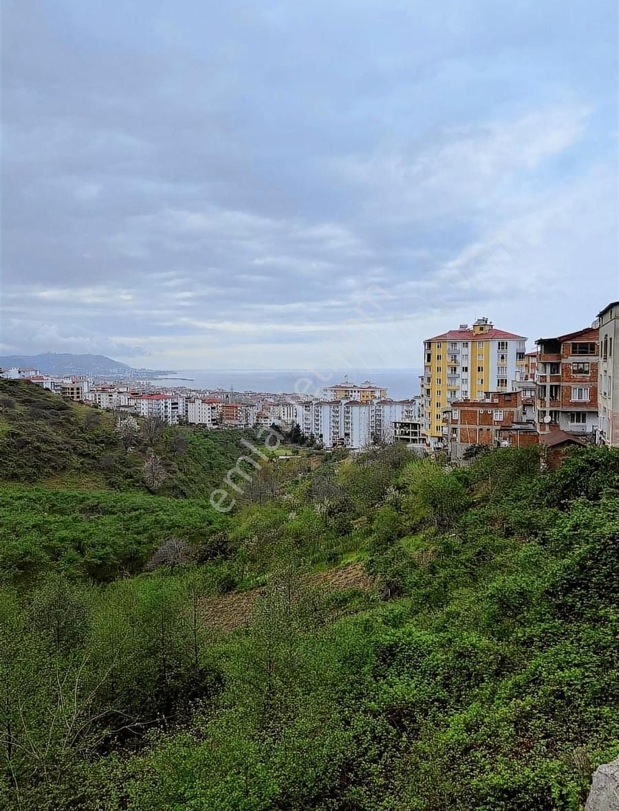 Gökdemir Gayrimenkulden Satılık Arsa Veya Fındık Bahcesi - Görsel 13