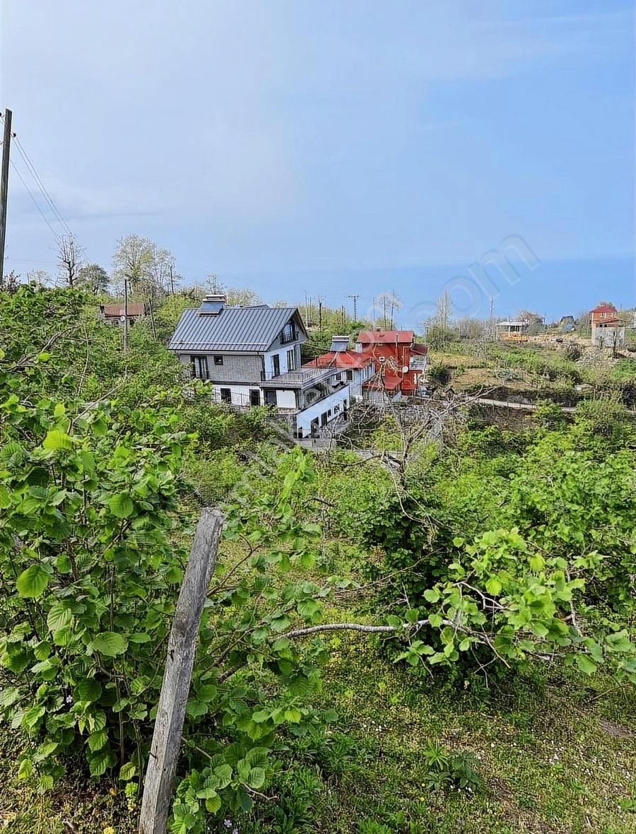 Gökdemir Gayrimenkulden Satılık Arsa Veya Fındık Bahcesi - Görsel 21