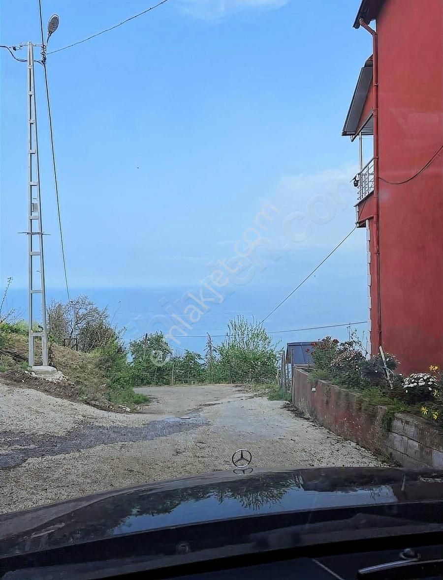 Gökdemir Gayrimenkulden Satılık Arsa Veya Fındık Bahcesi - Görsel 14