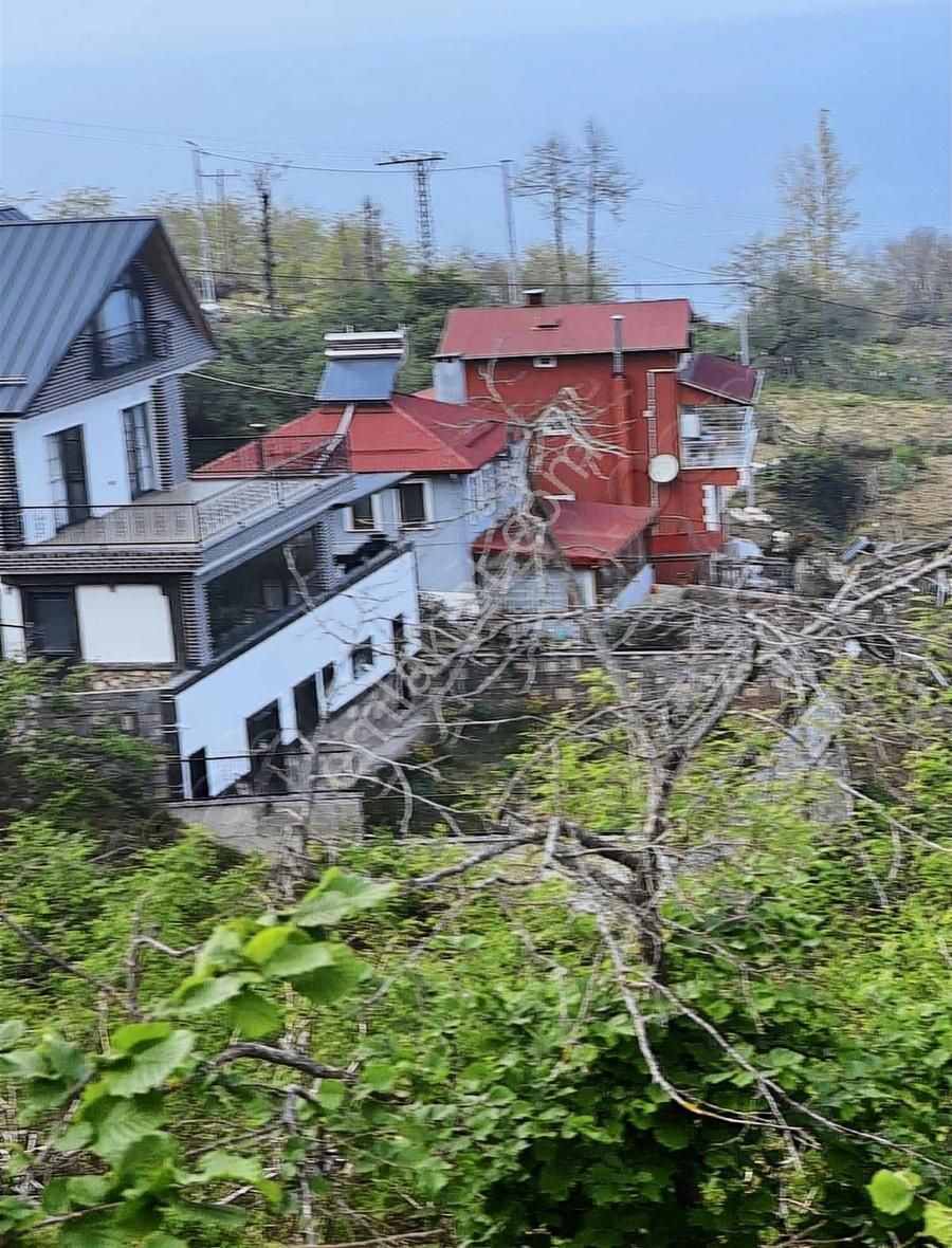 Gökdemir Gayrimenkulden Satılık Arsa Veya Fındık Bahcesi - Görsel 9