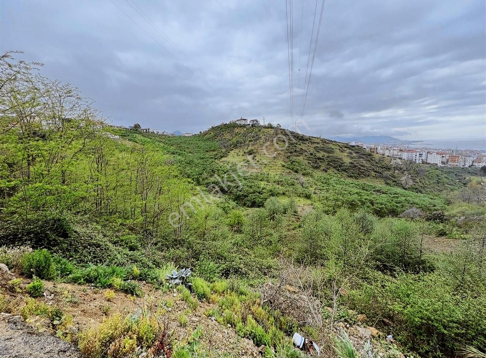 Gökdemir Gayrimenkulden Satılık Arsa Veya Fındık Bahcesi - Görsel 22