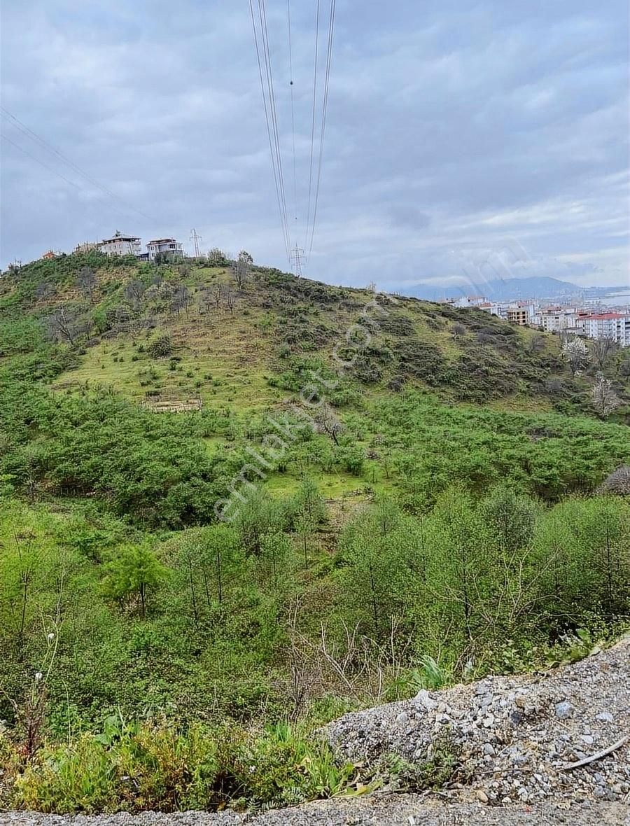 Gökdemir Gayrimenkulden Satılık Arsa Veya Fındık Bahcesi - Görsel 10