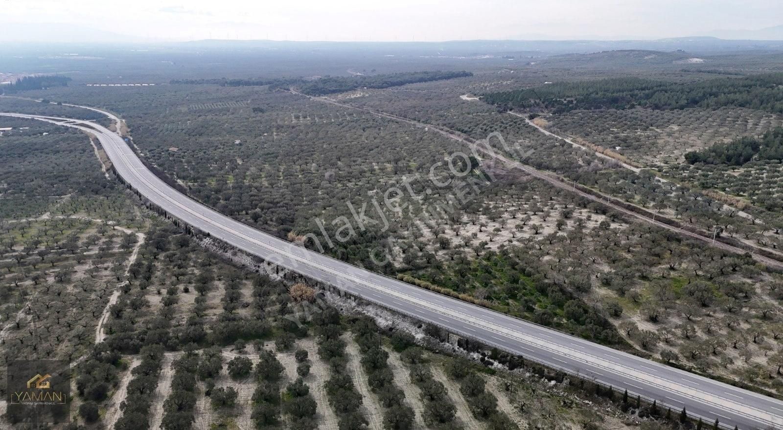 Akhisar Süleymanlı Satılık Zeytinlik Akhisar-bergama Yolu Üzeri Satılık Tarla