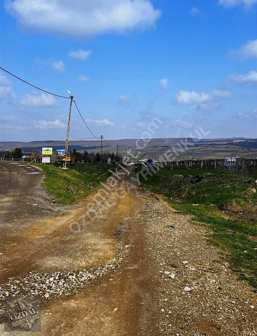 Silivri Çanta Balaban Satılık Tarla Silivri Çantaköyde Köyiçi Satılık 3 Adet Tek Tapu Arsa