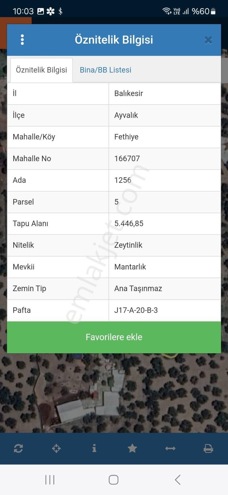 Rota’dan Fırsat Satılık Zeytinlik !! - Görsel 2