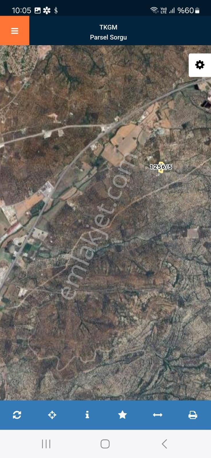 Rota’dan Fırsat Satılık Zeytinlik !! - Görsel 6