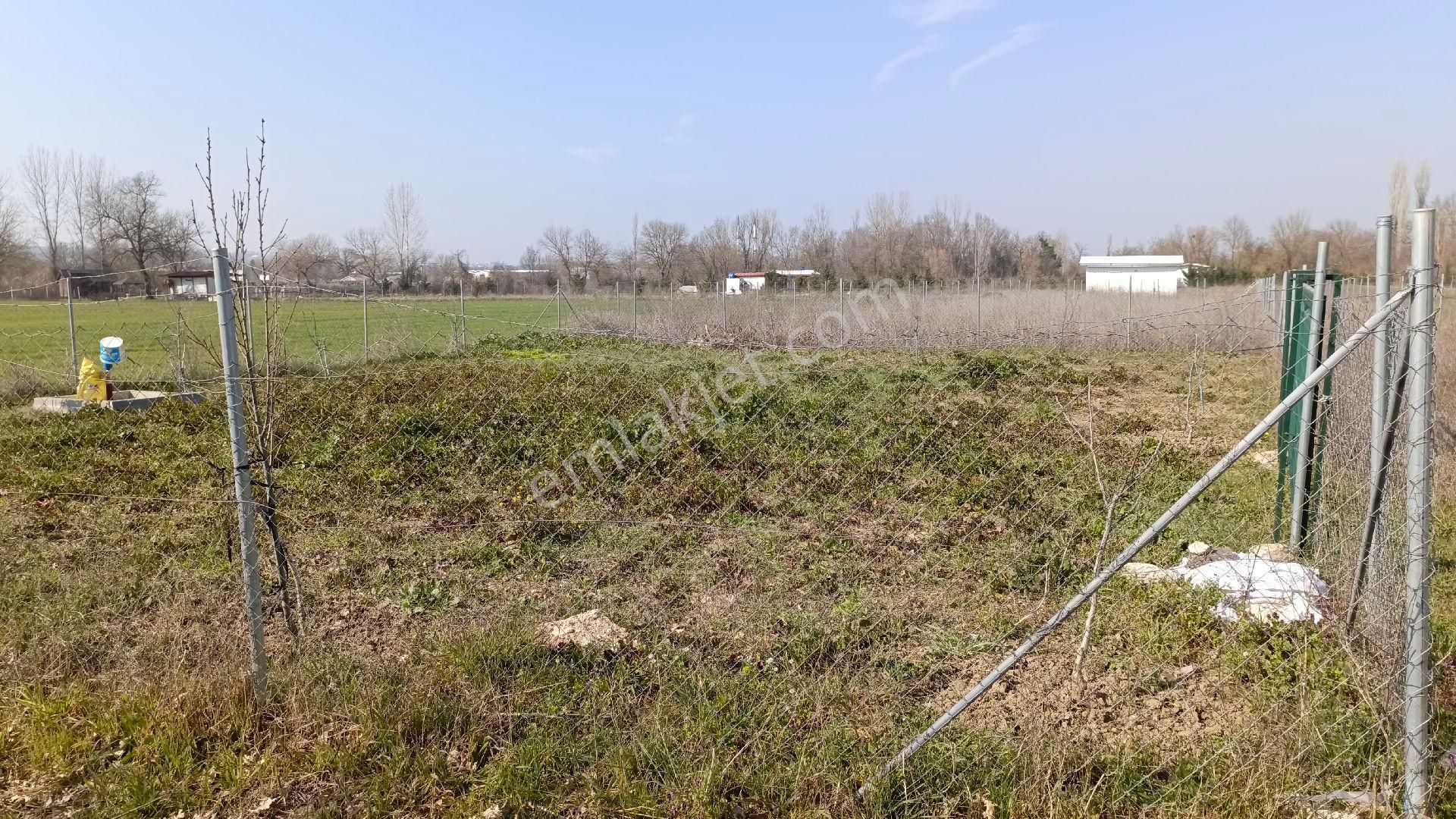 Yuvam Emlak 'dan Bursa Nilüfer Tahtalı Da Satılık Hobi Bahçesi - Görsel 2