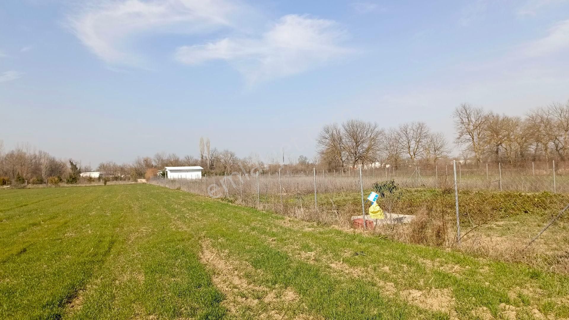 Yuvam Emlak 'dan Bursa Nilüfer Tahtalı Da Satılık Hobi Bahçesi - Görsel 3