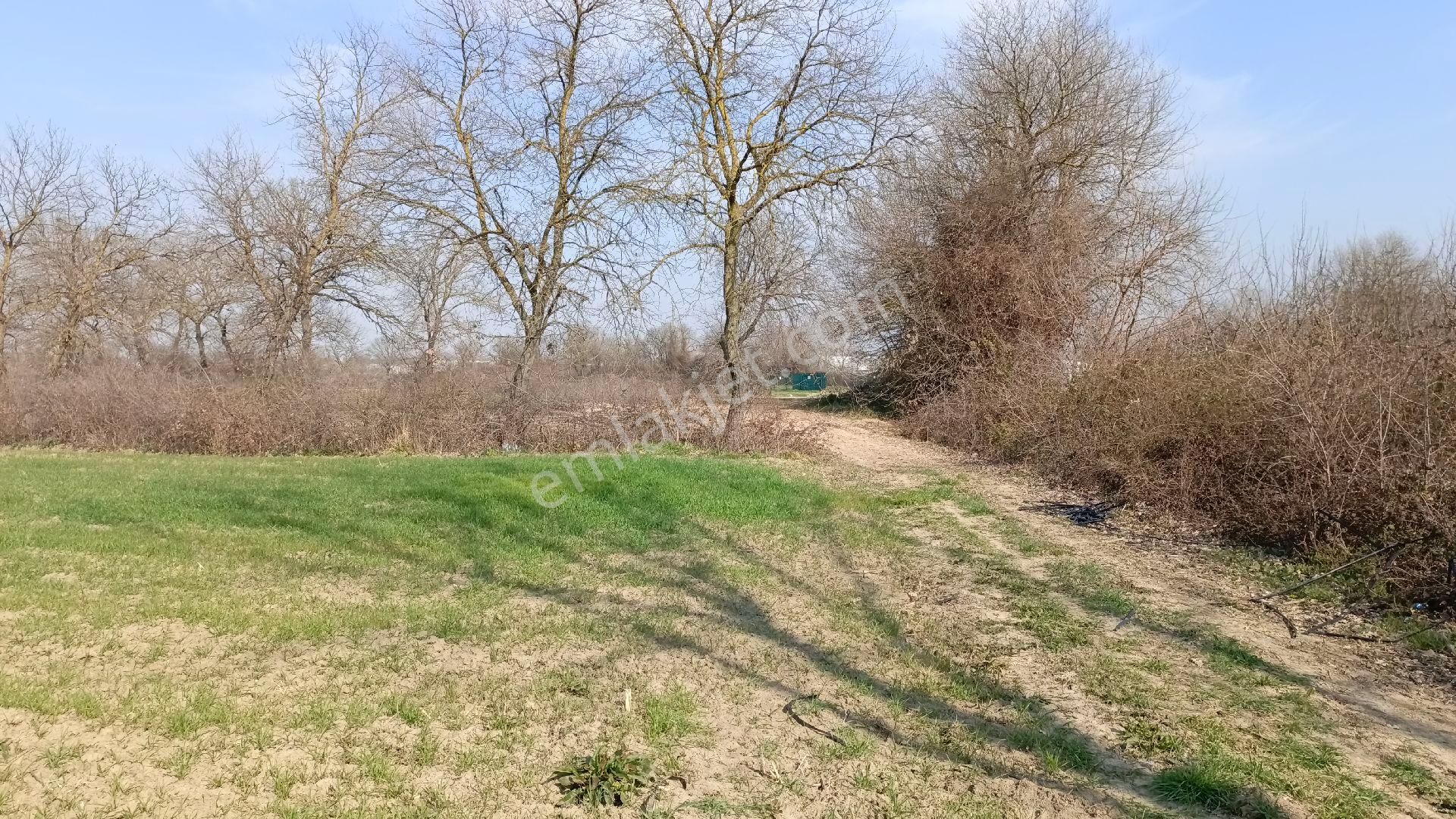 Yuvam Emlak 'dan Bursa Nilüfer Tahtalı Da Satılık Hobi Bahçesi - Görsel 7