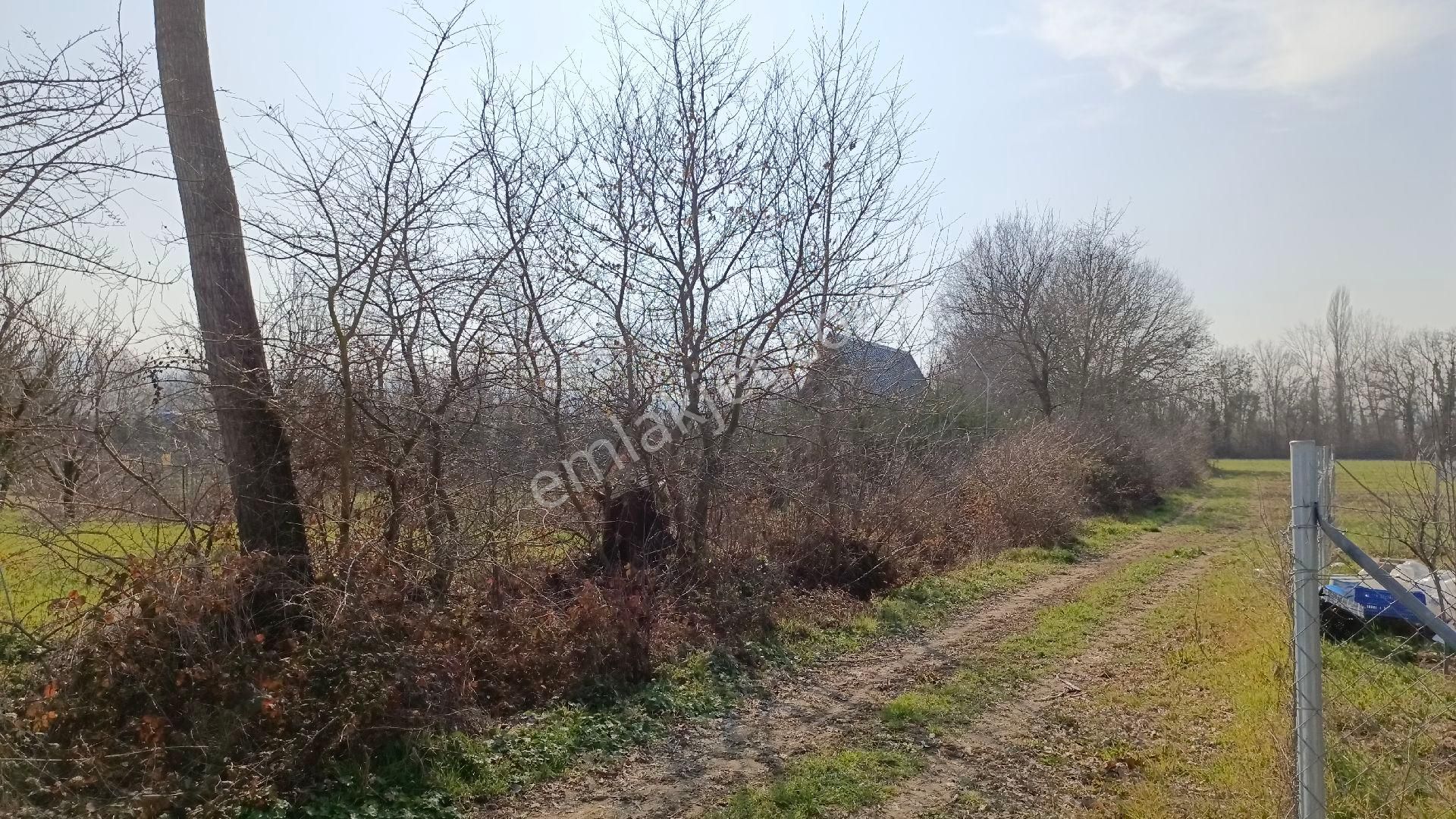 Yuvam Emlak 'dan Bursa Nilüfer Tahtalı Da Satılık Hobi Bahçesi - Görsel 11