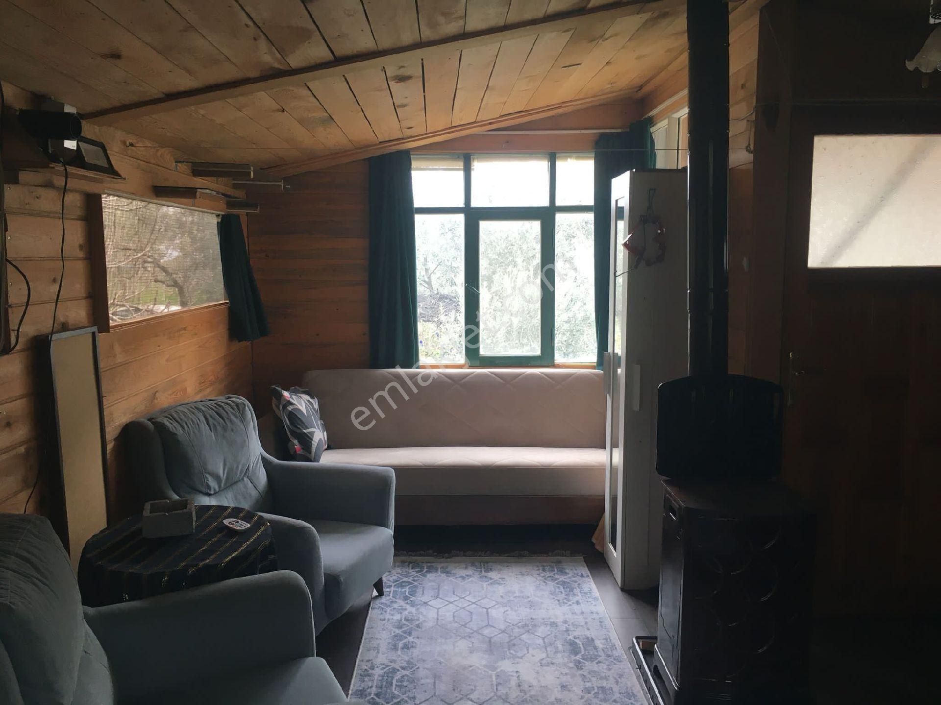 Güre Çamlıbelde İmar Dibi İçinde Evi Olan Zeytinlik - Görsel 18