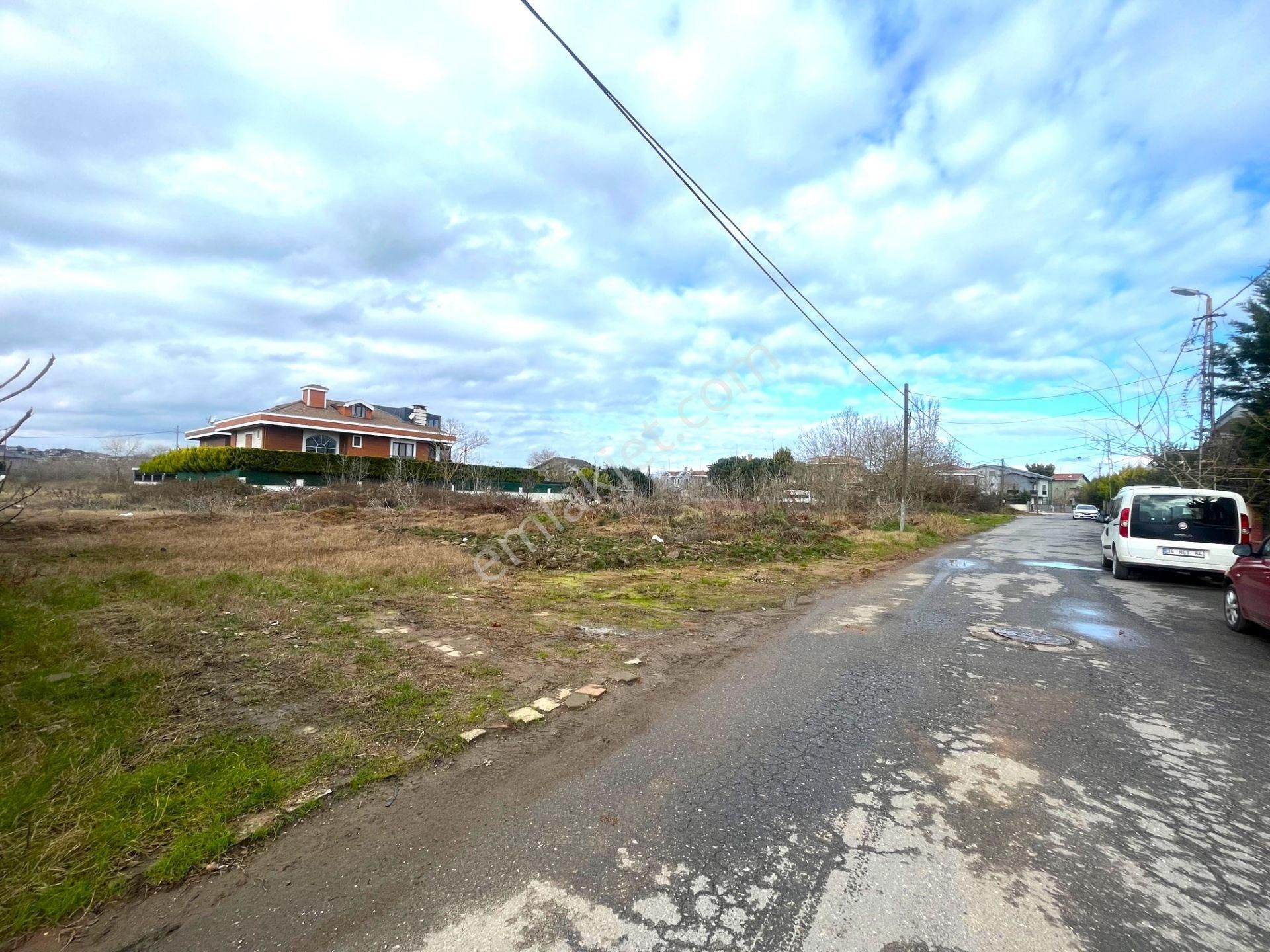 Tayfuroğlundan Şile Kumbaba Mahallesinde 2312 M2 Köşe Arsa - Görsel 5