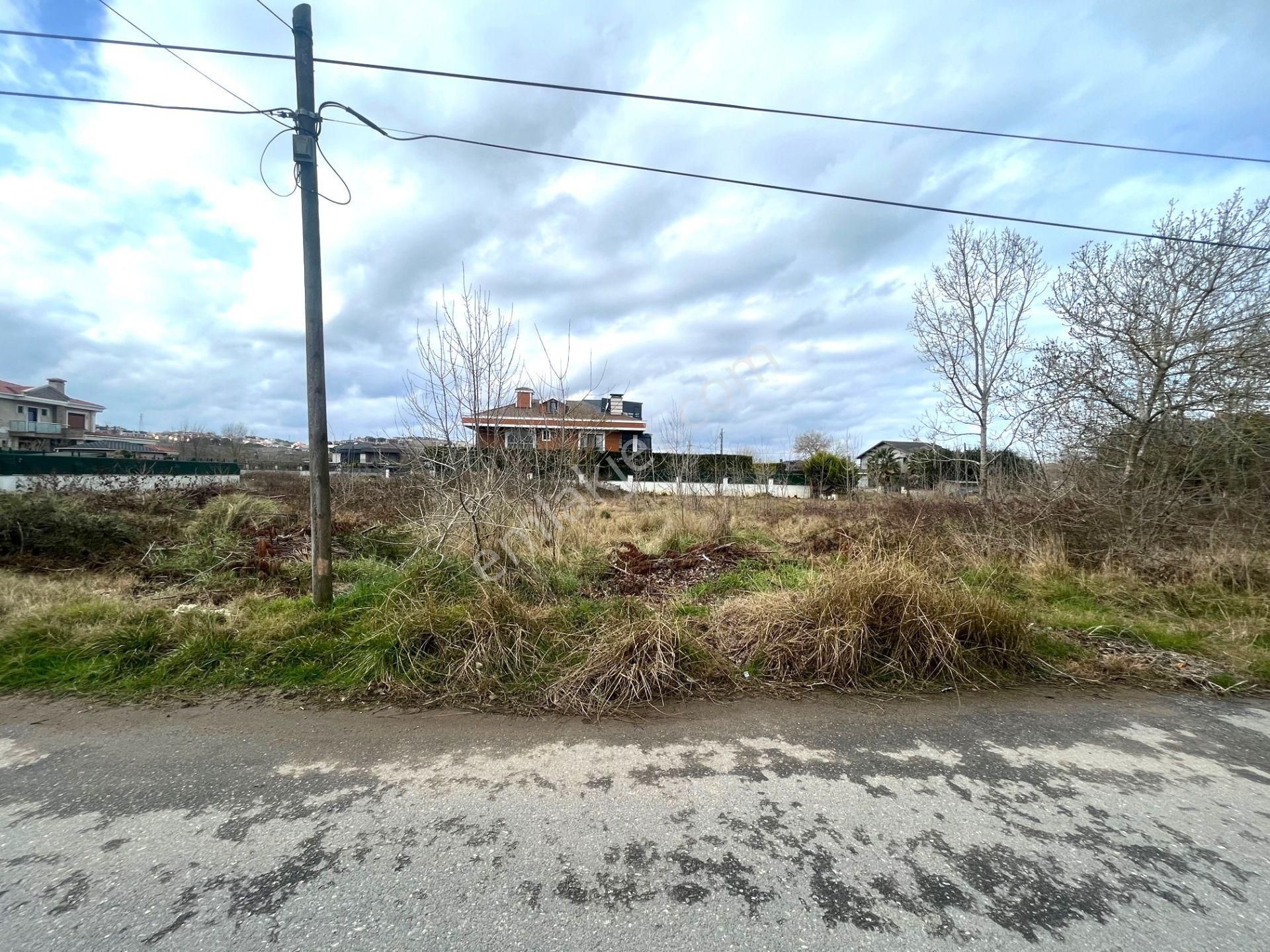 Tayfuroğlundan Şile Kumbaba Mahallesinde 2312 M2 Köşe Arsa - Görsel 8