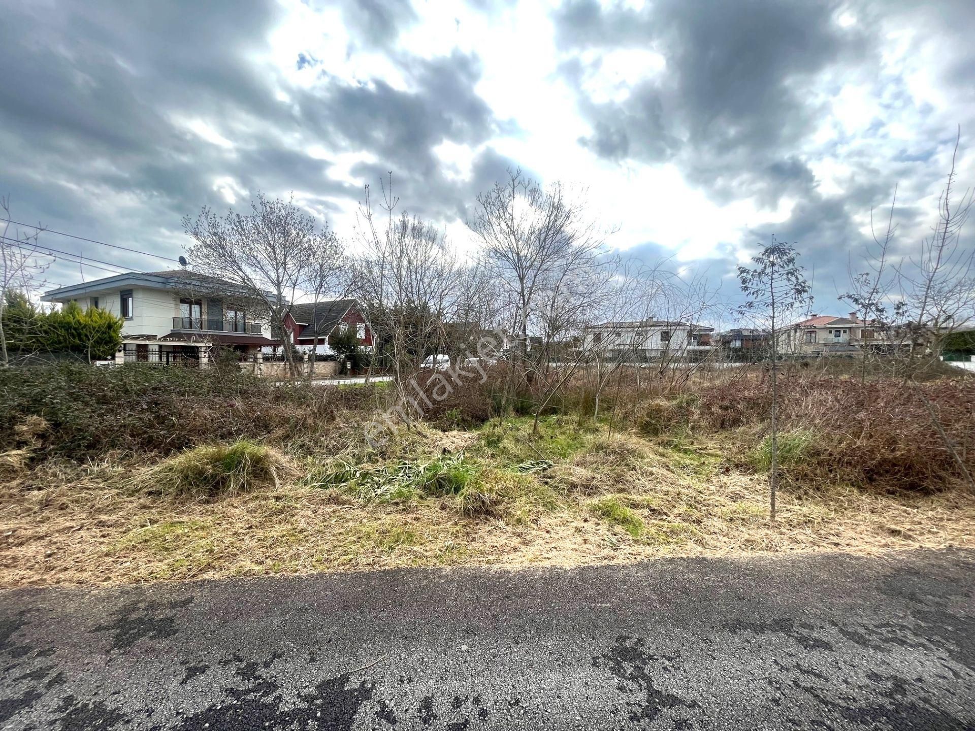 Tayfuroğlundan Şile Kumbaba Mahallesinde 2312 M2 Köşe Arsa - Görsel 12