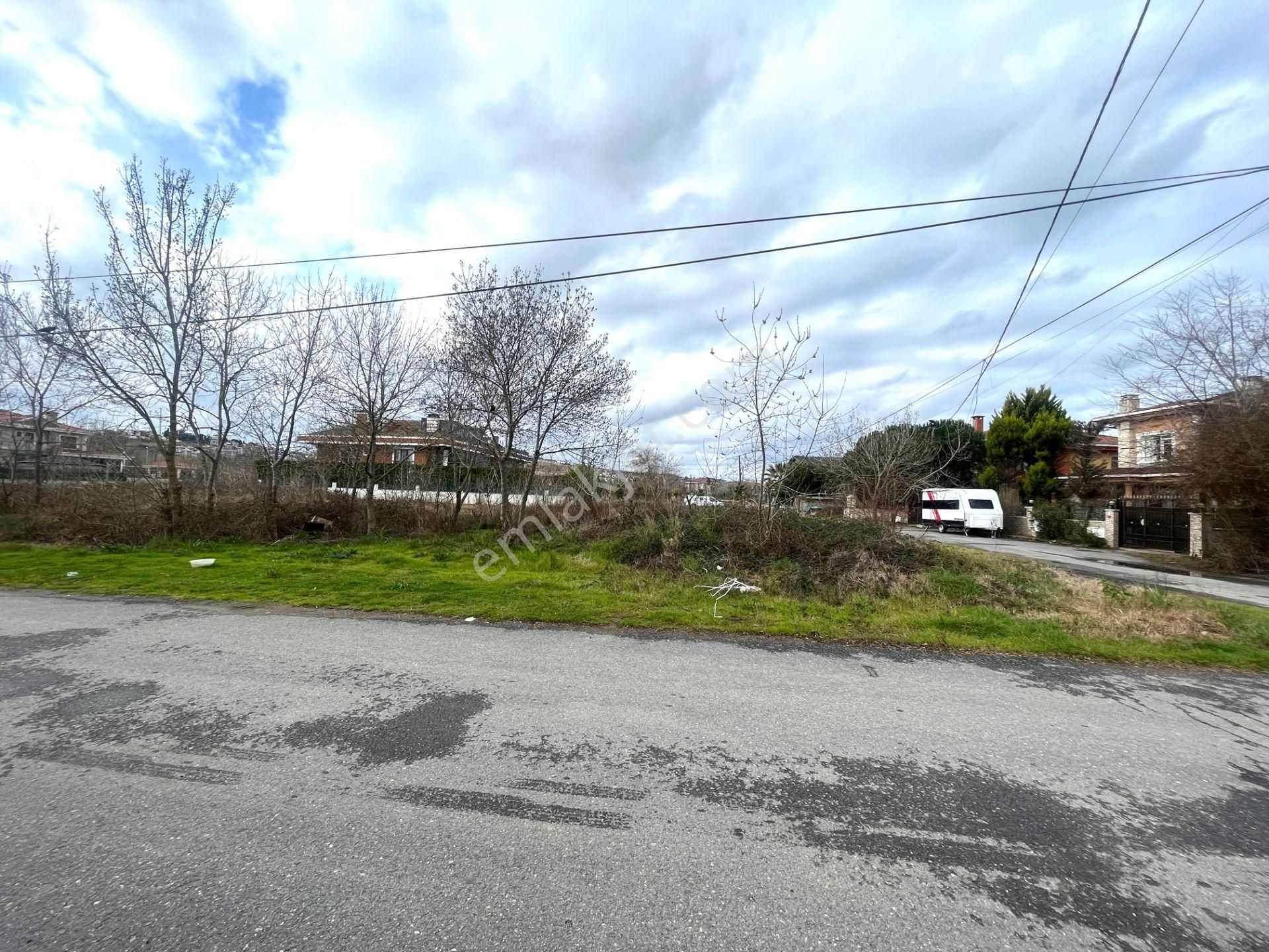 Tayfuroğlundan Şile Kumbaba Mahallesinde 2312 M2 Köşe Arsa - Görsel 15