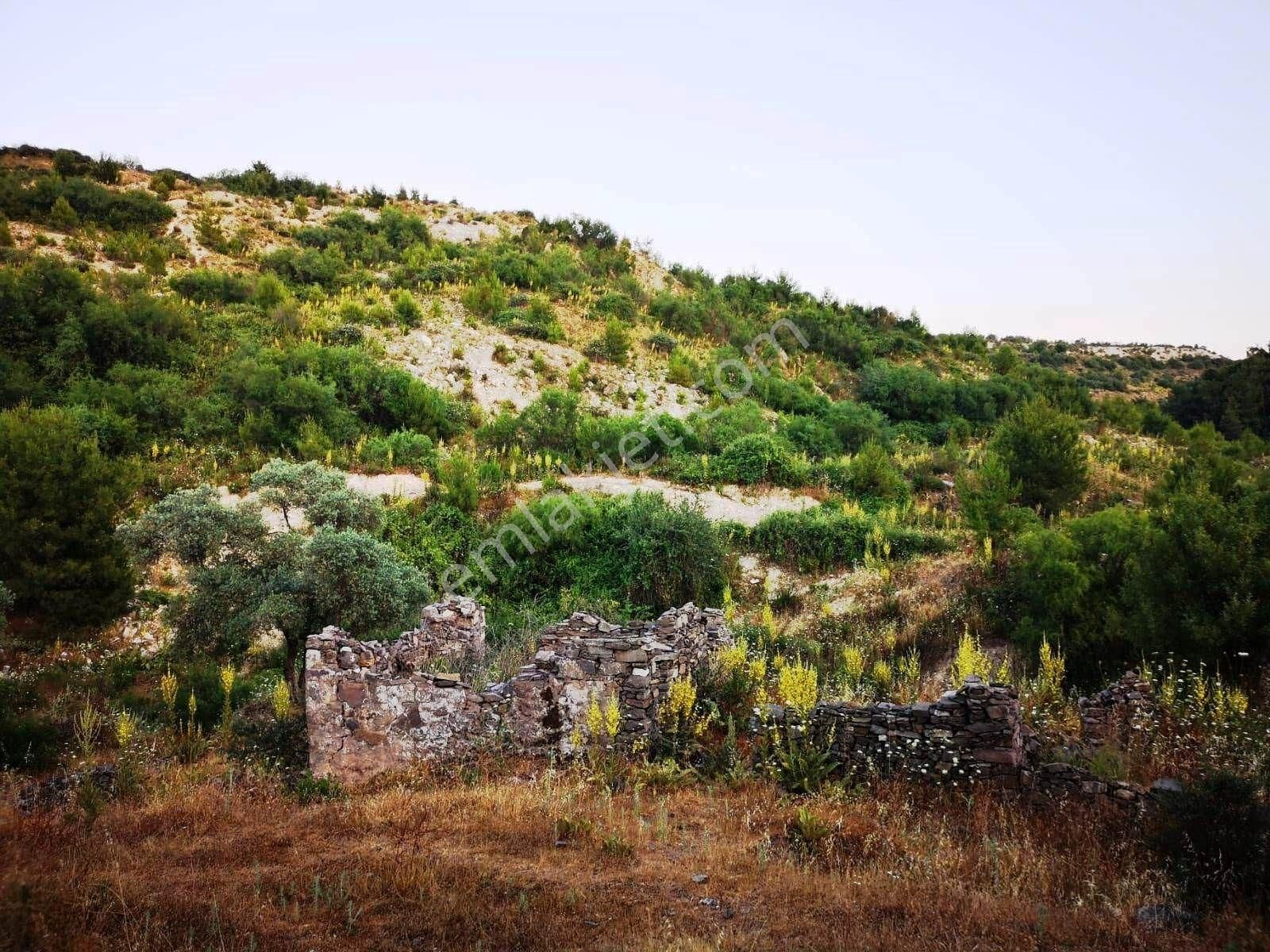Milas'ta Doğal Güzellikler İçinde Satılık Müstakil Ev - Görsel 4